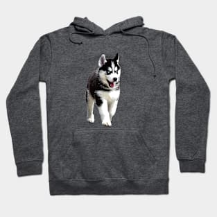 Siberian Husky Puppy Dog Hoodie